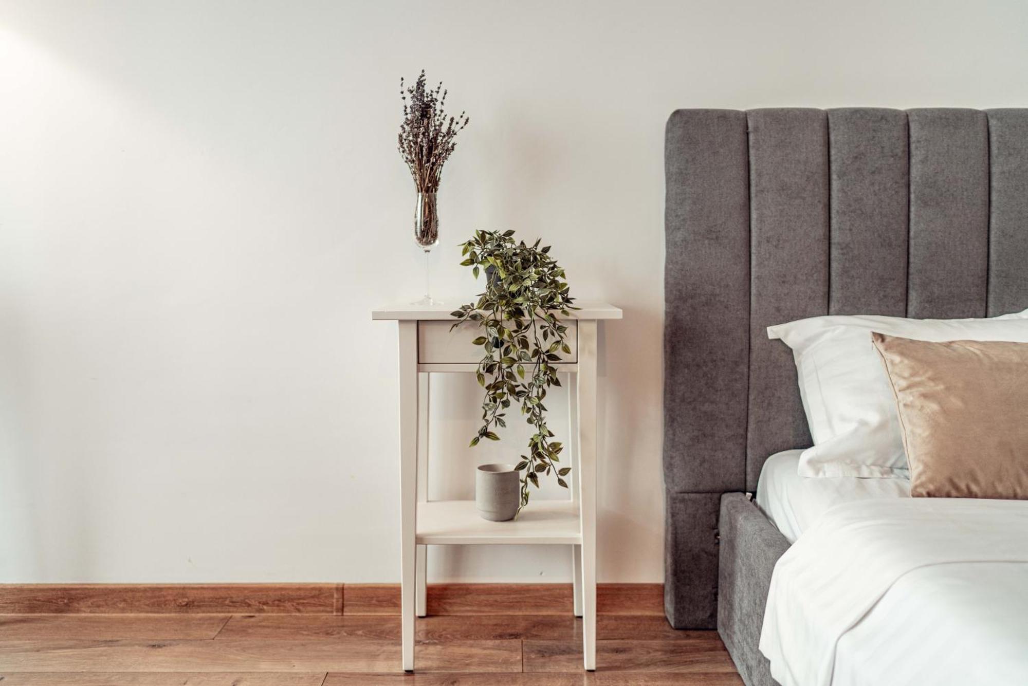 Cozy Apartments At Q Residence - Palas Mall Iasi Buitenkant foto